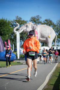 BIB: 
                            <button type="button" onclick="openModal(26543003)" class="btn btn-primary btn-sm float-right btn-popup" data-toggle="modal" data-target=".modal-high-quality">
                        <i class="fas fa-shopping-cart"></i> Add to Cart
                    </button>
                                            <button type="button" onclick="isThisMe(26543003, true)" class="btn btn-success btn-sm float-right btn-popup btn-isme hidden" data-toggle="tooltip" data-placement="bottom" title="นี่คือรูปของคุณใช่ไหม คลิกที่นี่เพื่อเอาเข้าอัลบั้ม">
                        <i class="fas fa-plus"></i> Add to album
                    </button>
                    <button type="button" onclick="isThisMe(26543003, false)" class="btn btn-warning btn-sm float-right btn-popup btn-isnotme hidden">
                        <i class="fas fa-ban"></i> Remove from album
                    </button>